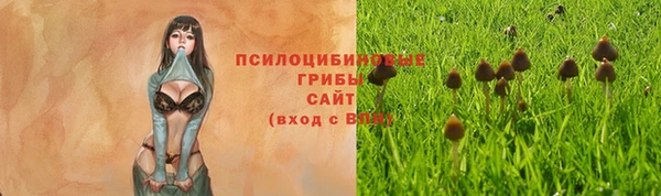 мяу мяу мука Верхний Тагил