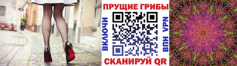 Псилоцибиновые грибы Psilocybine cubensis Барнаул